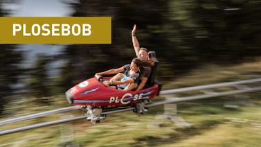Image for: 1xPlosebob